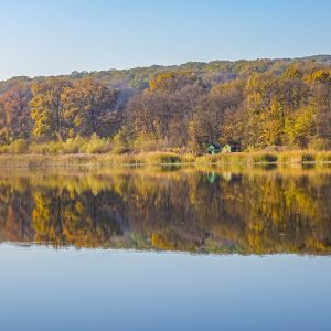 Reflectie-in-water-natuurreservaat-plaiul-fagului