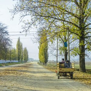 Wegen-Moldavie-met-kar-op-weg