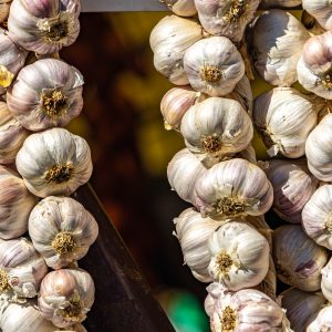 Knoflook-op-markt-Roemenie
