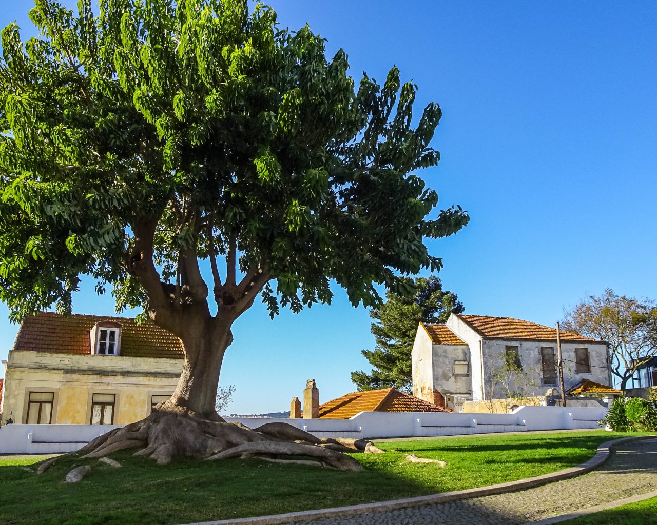 Miradouro-Jardim-Castelo-Lissabon