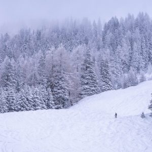 Axamer-Lizum-wintersporten