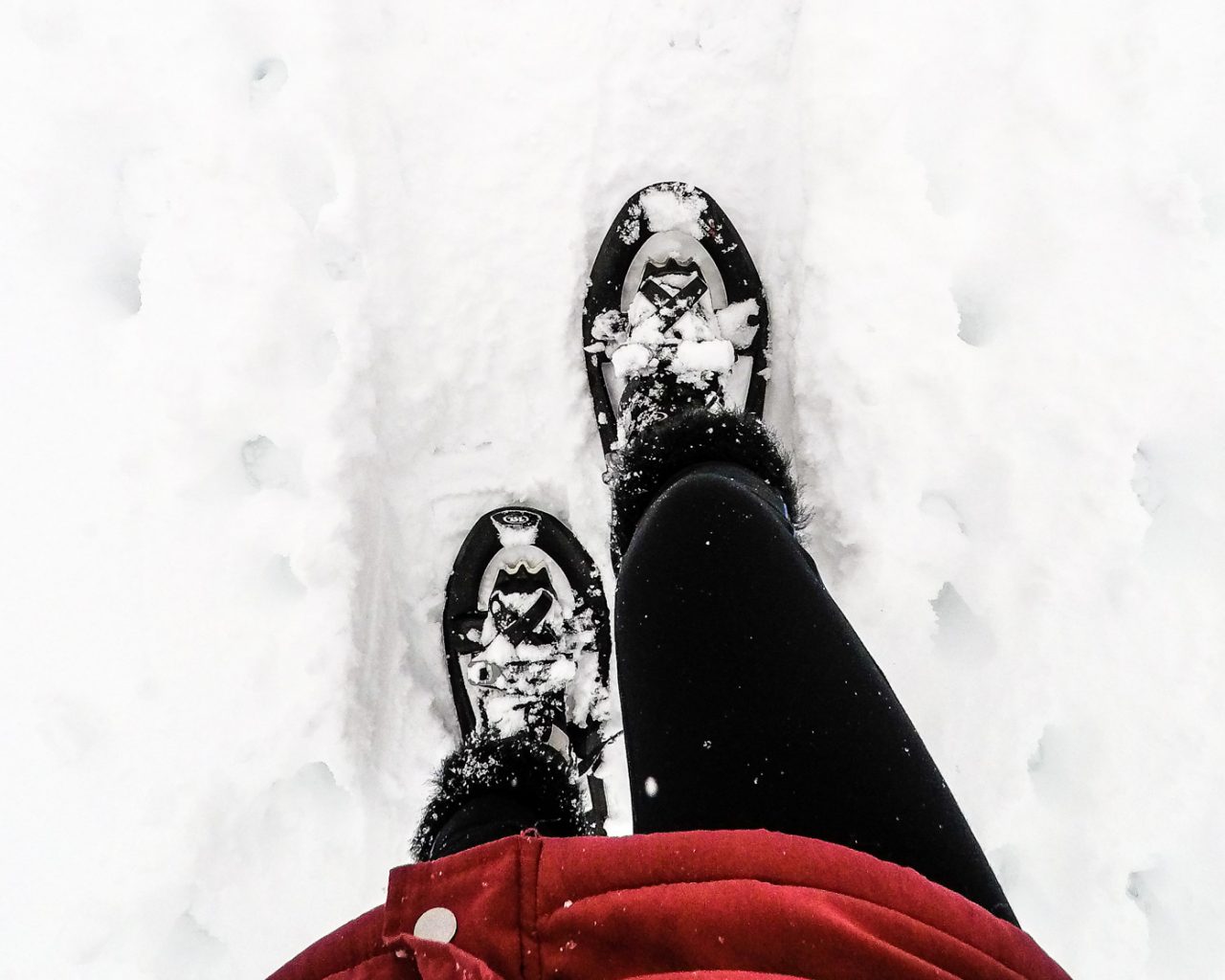 Sneeuwschoenwandelen-wandelsokken