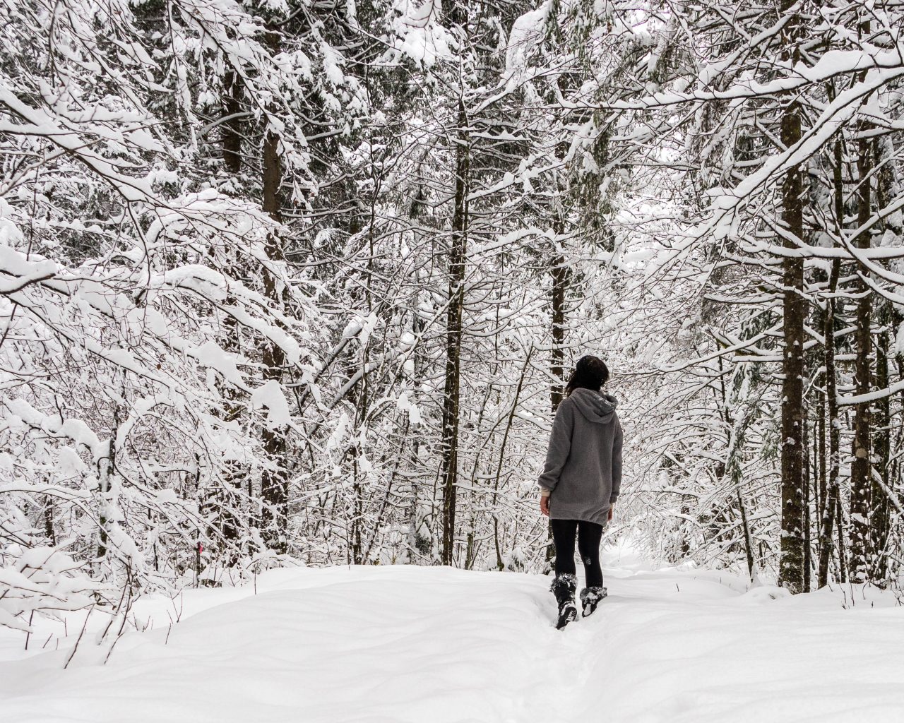 Wandelsokken-Decathlon-in-sneeuw