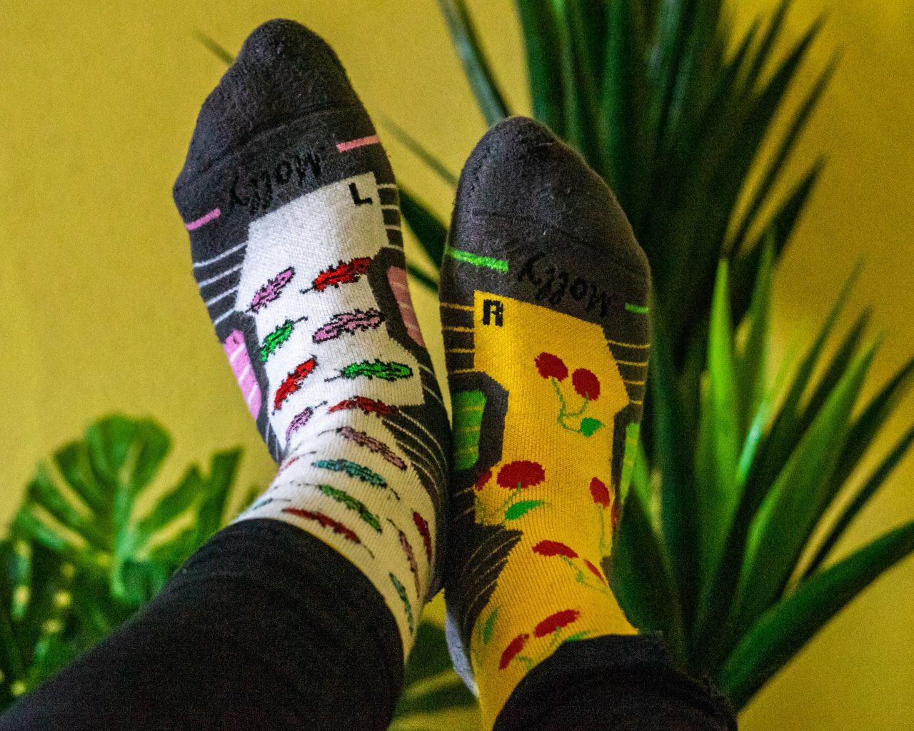 Kleurrijke-wandelsokken-Mollysocks