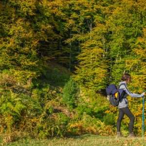 Jessica-wandelen-Roemenië-wandelsokken