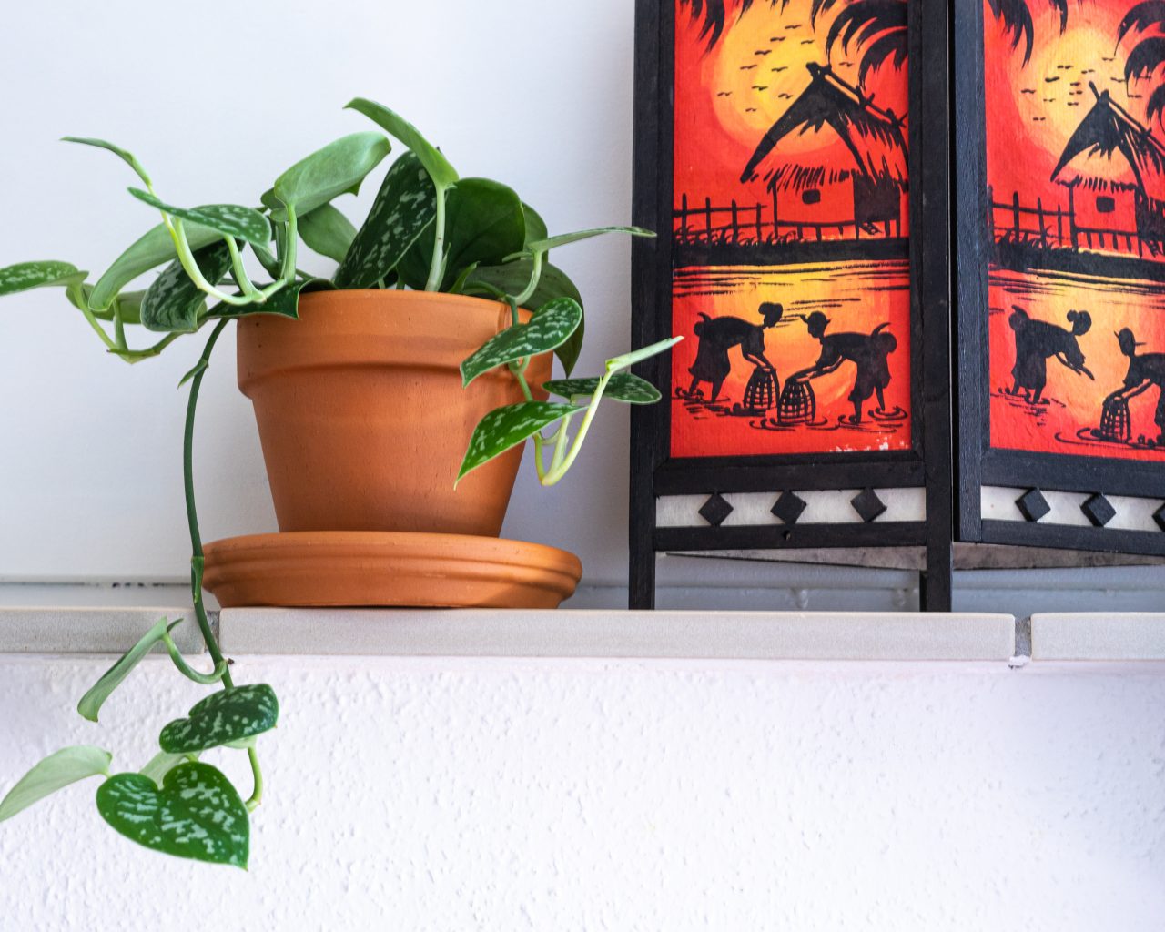 scindapsus-pictus-makkelijke-kamerplant-op-vensterbank