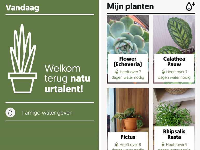 Plantsome-app-voor-planten-water-geven