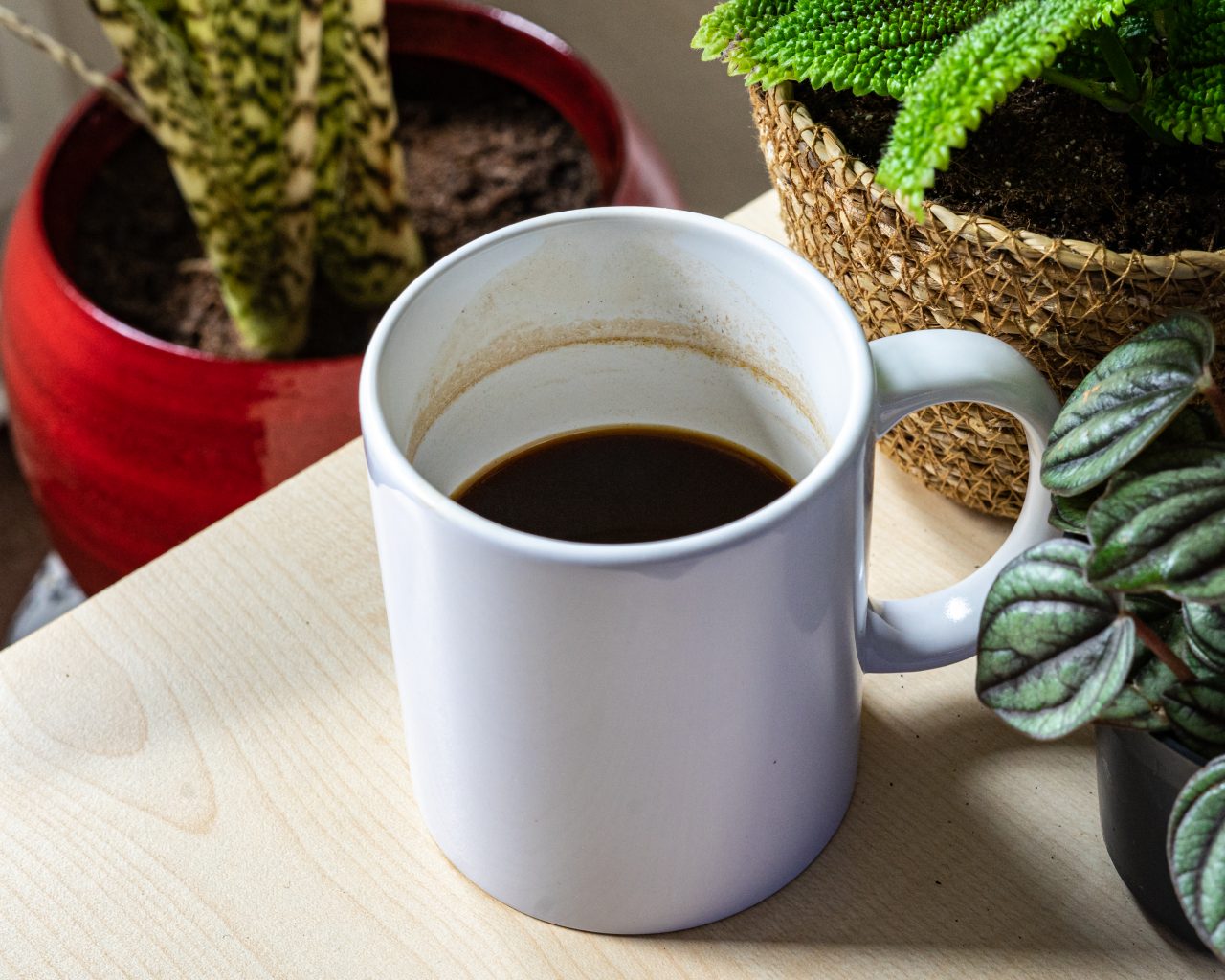Koffie-als-plantenvoeding