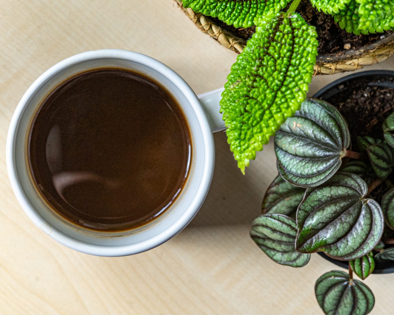 Plantenvoeding-maken-koffie