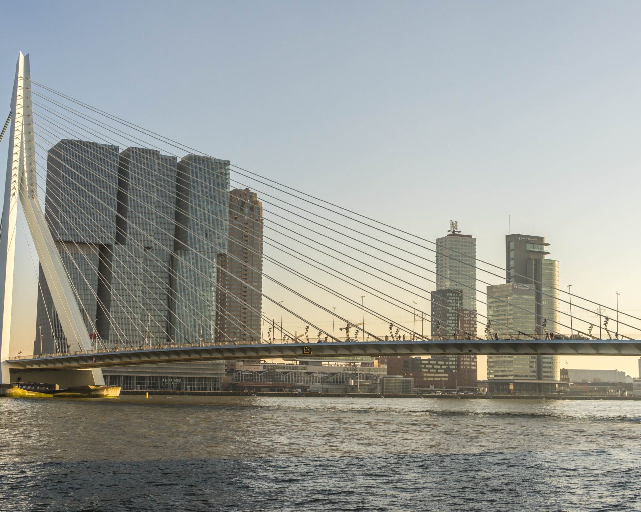 Rotterdam-brug-vakantie-dicht-bij-huis