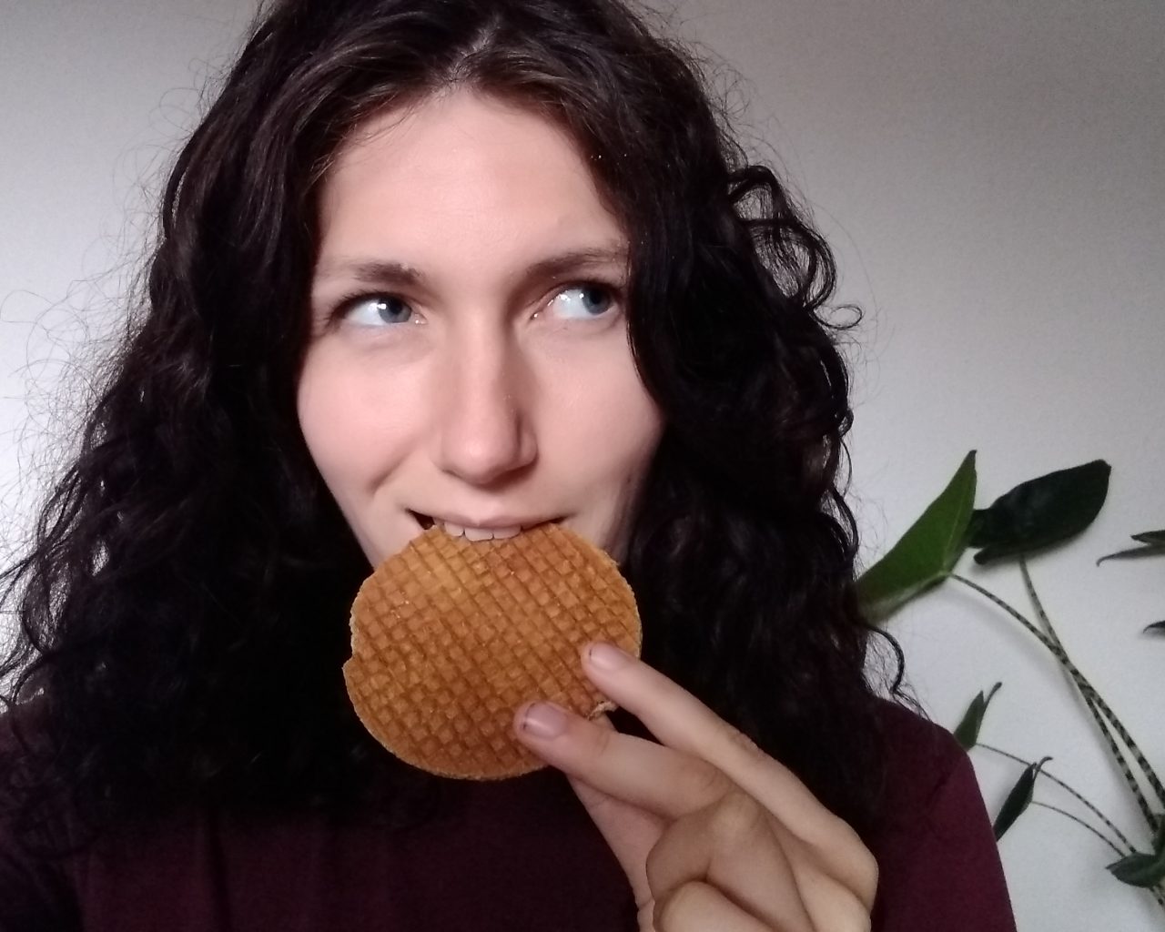 stroopwafel-typisch-nederlands