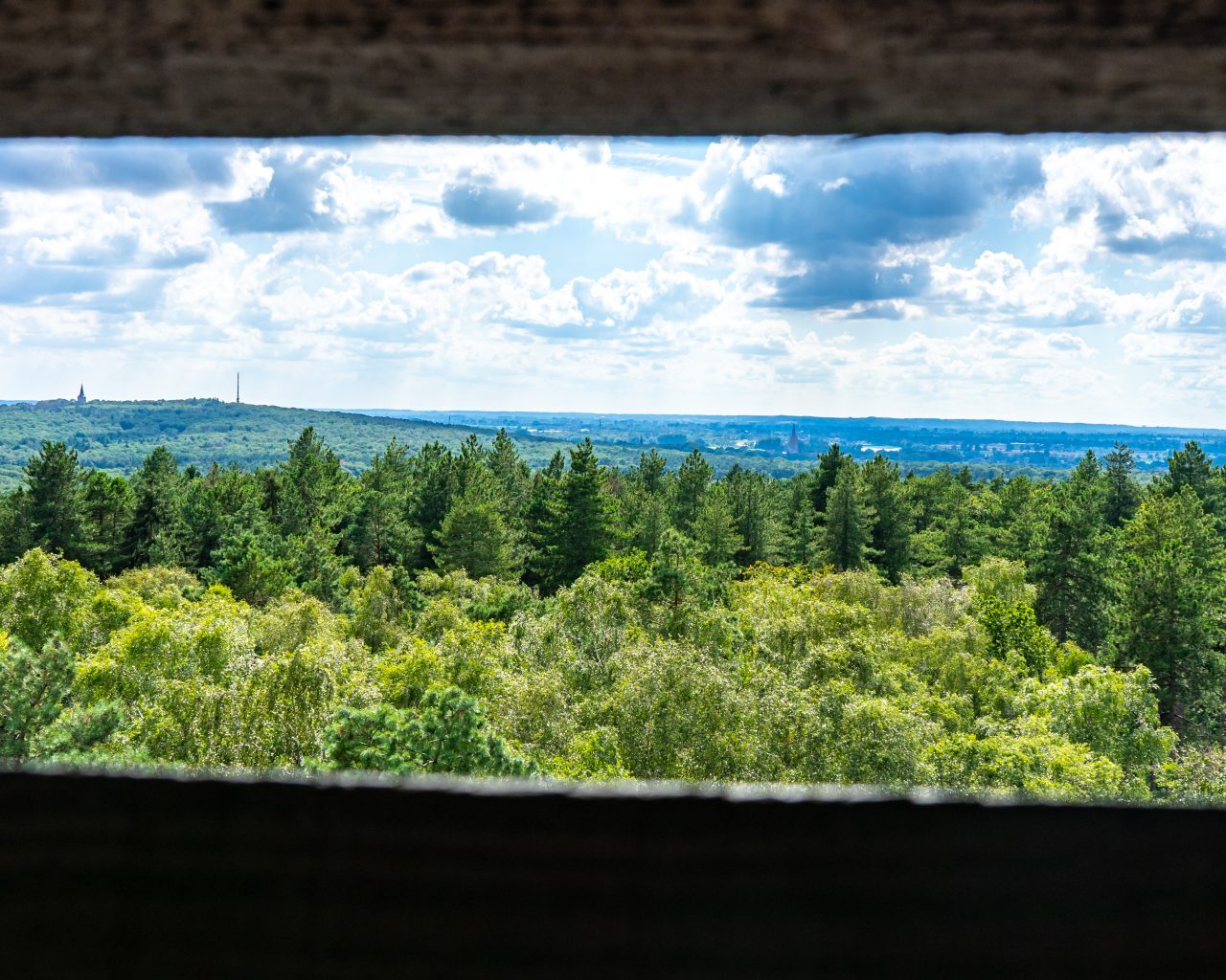 Hulzenberg-uitkijktoren-over-omgeving-bossen