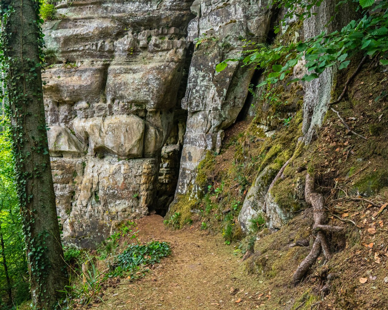 Mullerthal-Trail-2-wandelen-tussen-rotsen