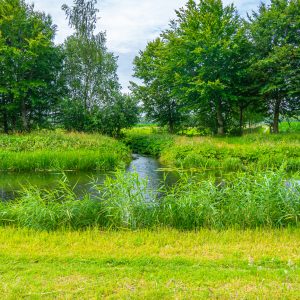 Rivier-Schipbeek-tijdens-Pieterpad-etappe-12