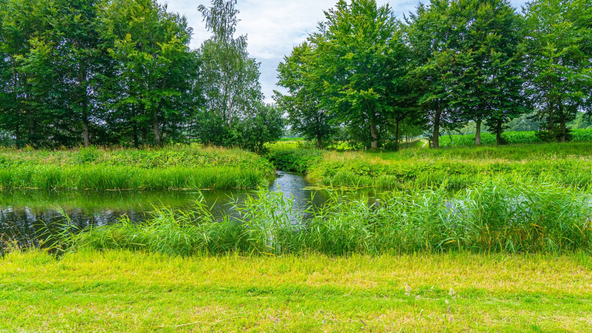 Rivier-Schipbeek-tijdens-Pieterpad-etappe-12