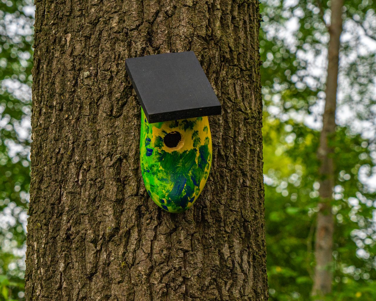 Vogelhuisje-gemaakt-van-klomp-aan-boom