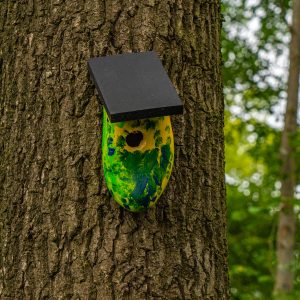 Vogelhuisje-gemaakt-van-klomp-aan-boom