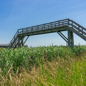 Houten-brug-Pieterpad-etappe-1