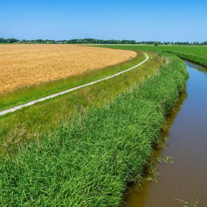 Uitzicht-vanaf-houten-brug-bij-Pieterburen-Pieterpad