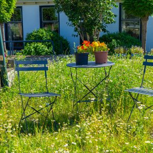 Rustplaats-met-stoeltjes-langs-Pieterpad
