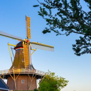 Molen-in-Winsum