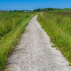 Wandelpad-vanuit-Pieterburen-Pieterpad