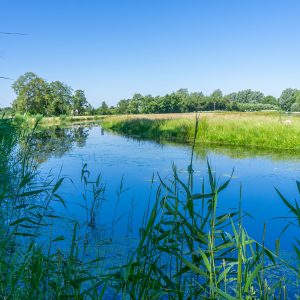 Pieterpad-etappe-3-Groningen-Zuidlaren