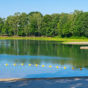Ven-bij-camping-de-Vledders-Drenthe