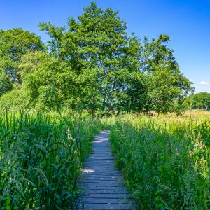 wandelpad-Pieterpad-etappe4-bij-Gasterse-Duinen