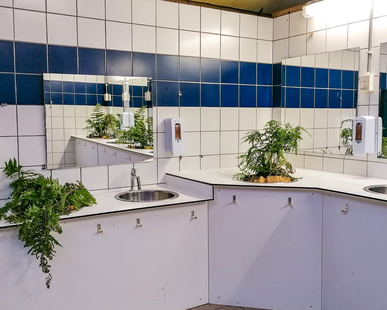 Sanitairgebouw-met-wasbakken-en-planten