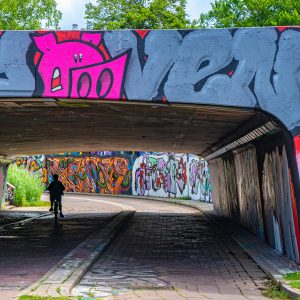 Graffiti-fietspaden-Berenkuil-Eindhoven