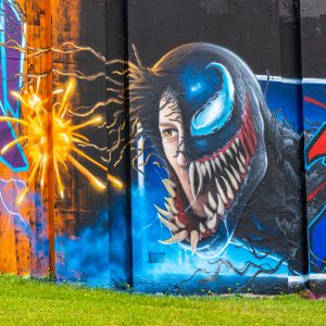 Graffiti-Berenkuil-Eindhoven