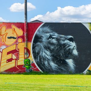 Graffiti-leeuw-Iriswijk