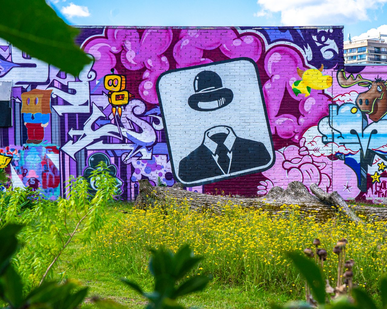 Graffiti-Iriswijk-Eindhoven