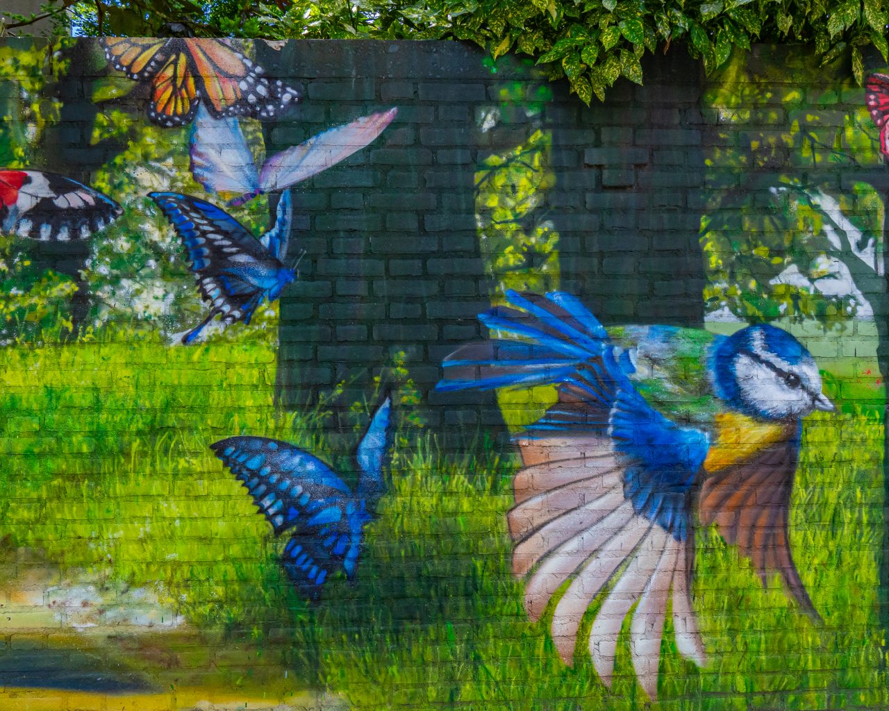 Over-schoonheid-en-troost-graffiti-met-vogels-en-vlinders