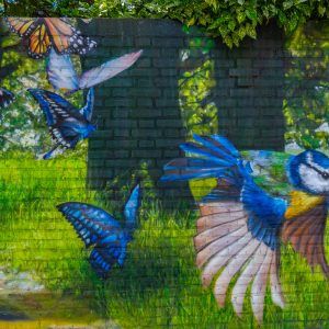 Over-schoonheid-en-troost-graffiti-met-vogels-en-vlinders