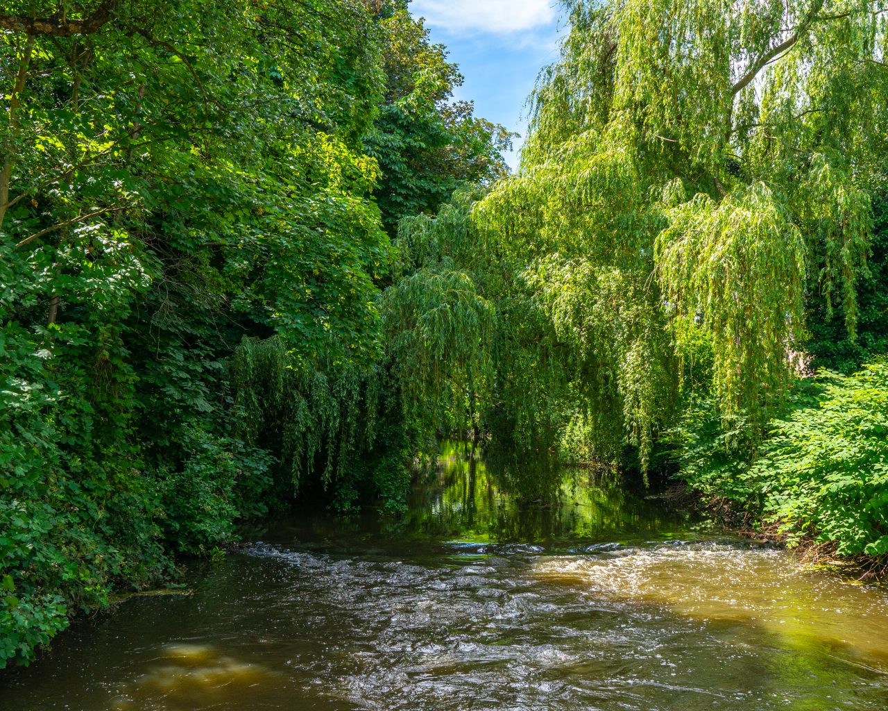 Uitzicht-over-Dommel-rivier-in-Eindhoven