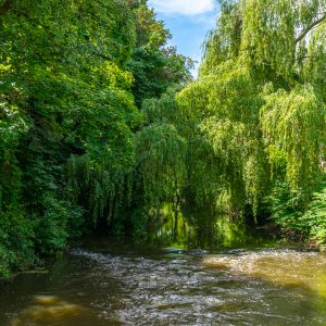 Uitzicht-over-Dommel-rivier-in-Eindhoven
