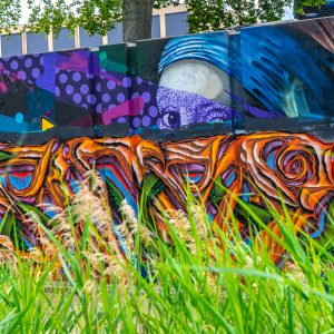 Meisje-met-de-parel-graffiti-Berenkuil-Eindhoven