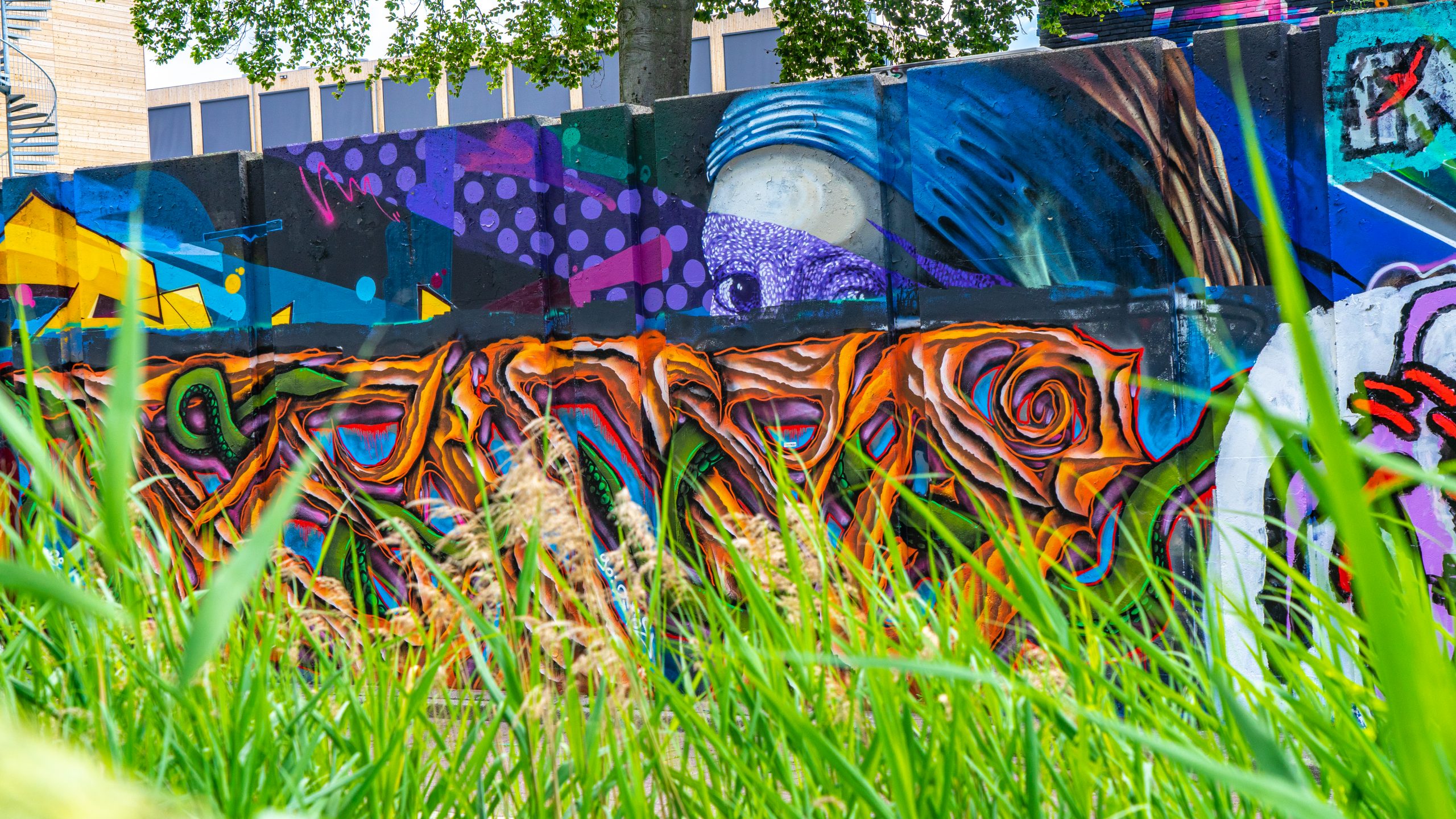 Meisje-met-de-parel-graffiti-Berenkuil-Eindhoven