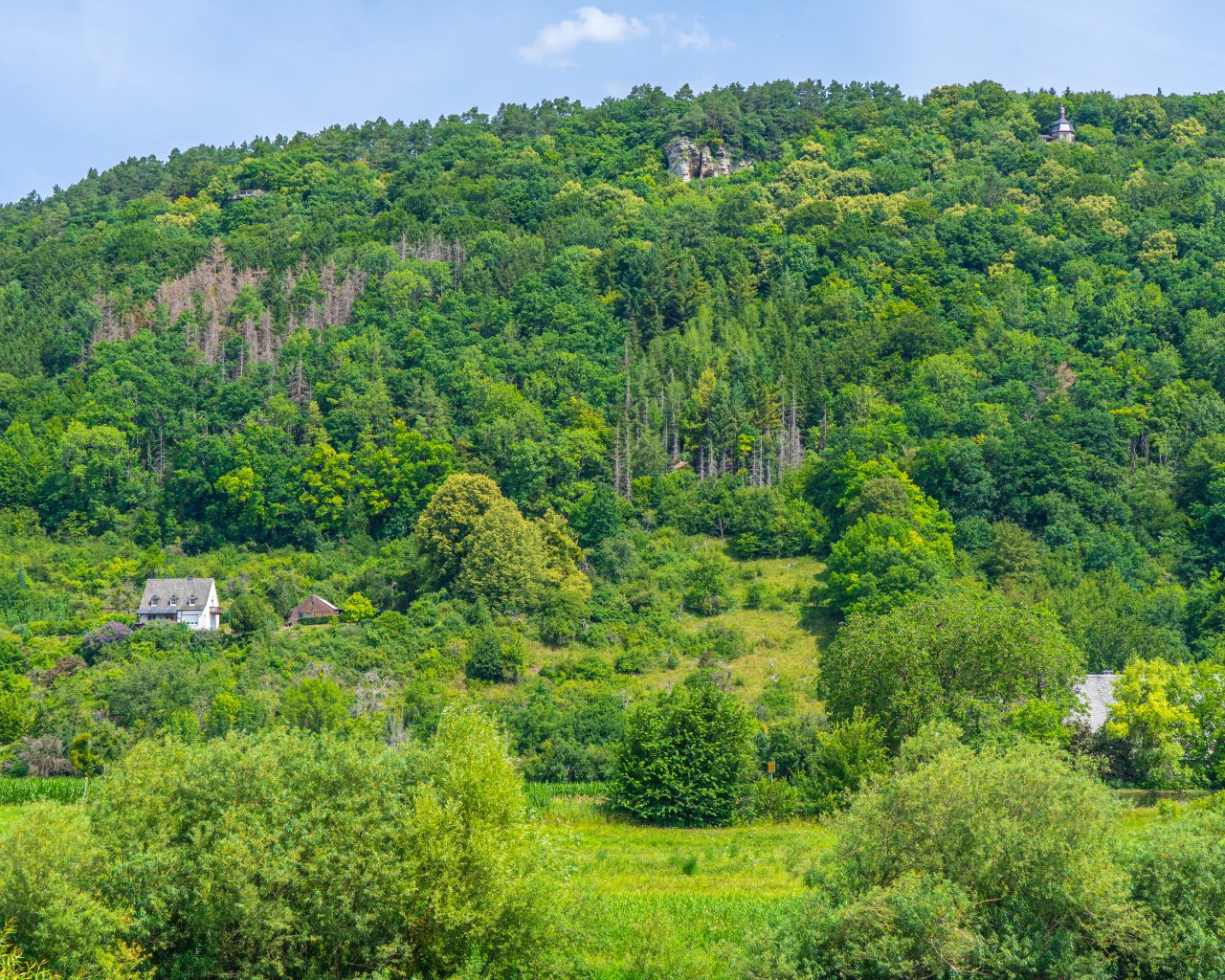 Uitzicht-vanaf-Echternach-over-Sure-rivier-oever