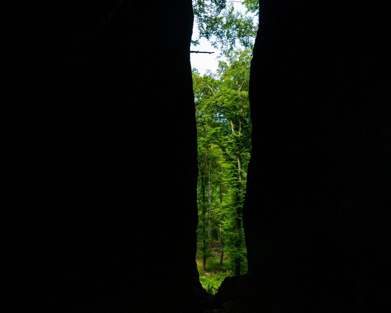 Uitzicht-op-bomen-door-rotsspleet