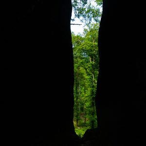 Uitzicht-op-bomen-door-rotsspleet