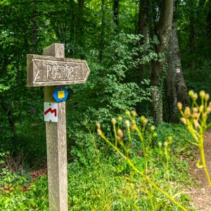 Richtingwijzer-naar-Rosport-langs-Mullerthal-Trail