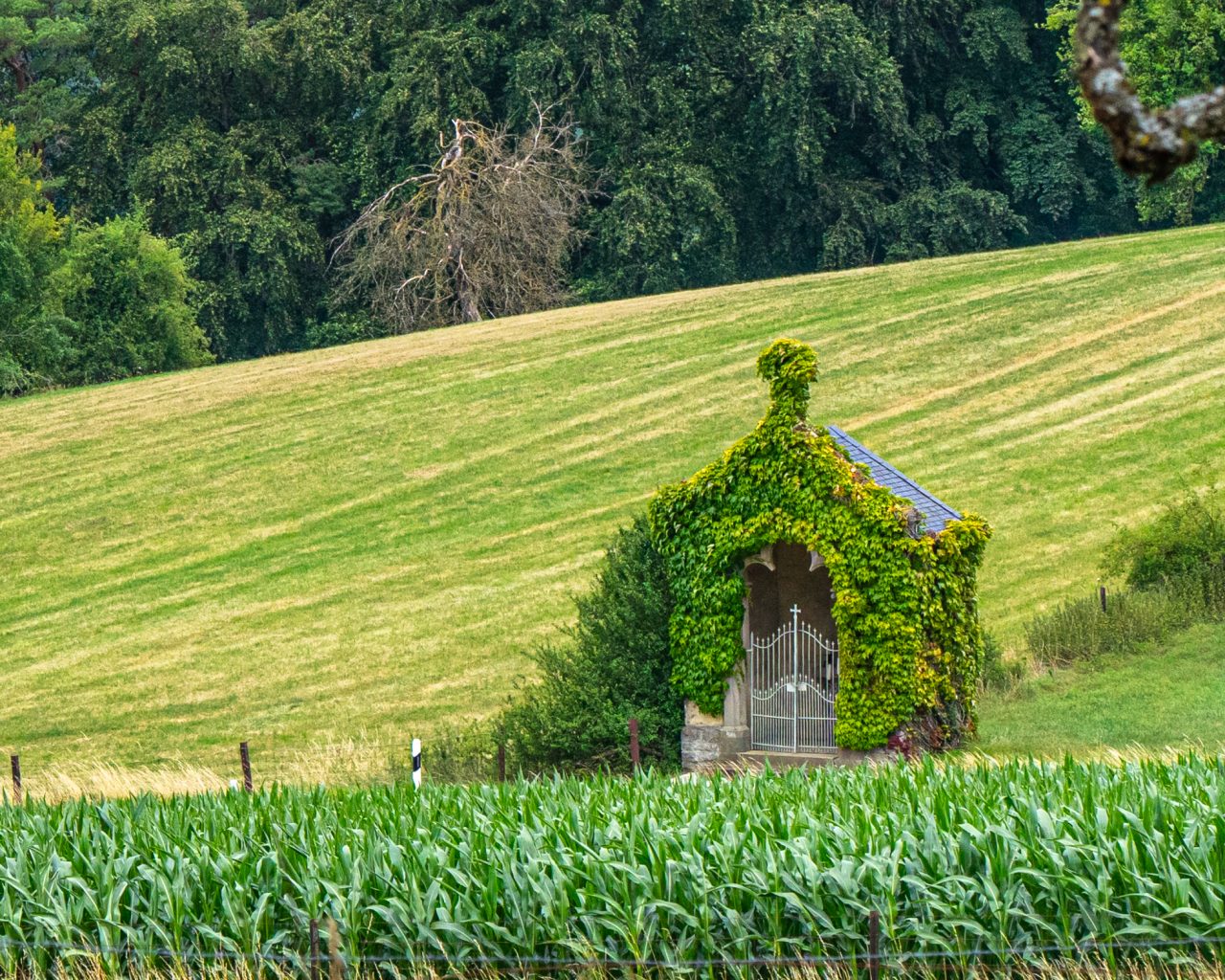 Kapelletje-met-klimop-in-Luxemburg