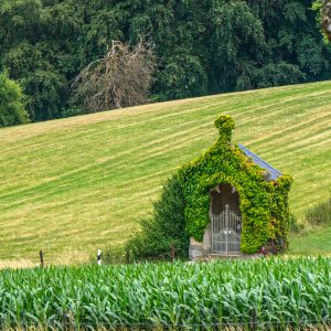 Kapelletje-met-klimop-in-Luxemburg