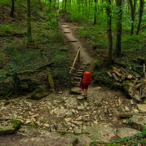 Droge-rivier-oversteken-Mullerthal-Trail-route-1