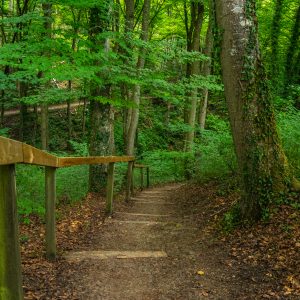 Trap-klimmen-Mullerthal-trail-route-1