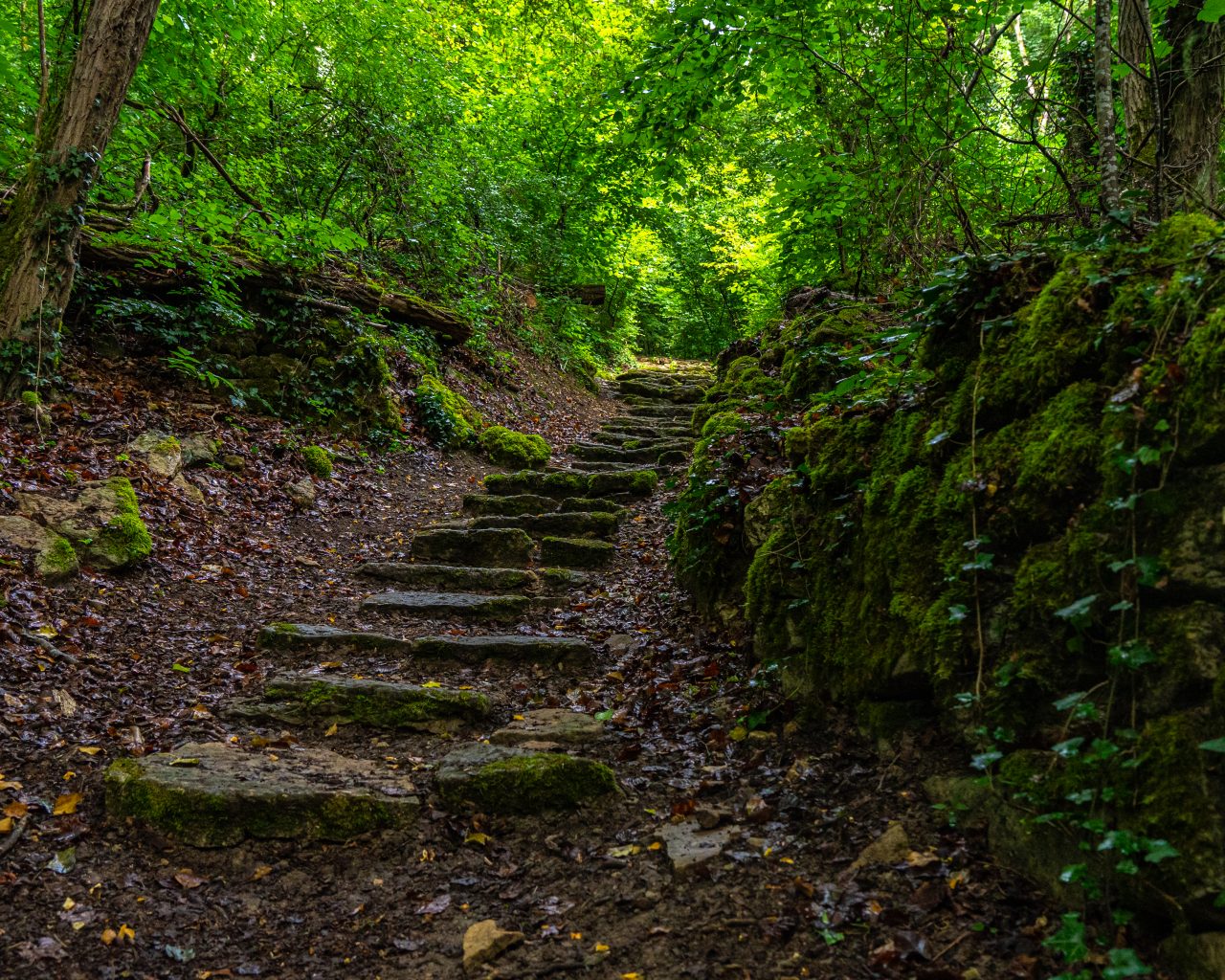 Stenen-trap-in-natuur-mullerthal-trail