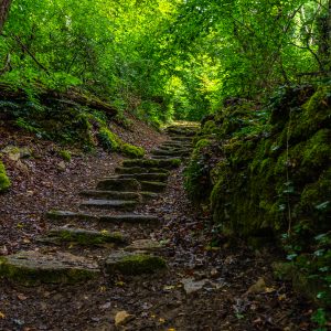 Stenen-trap-in-natuur-mullerthal-trail